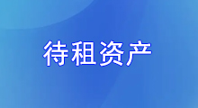�����ʲ�
